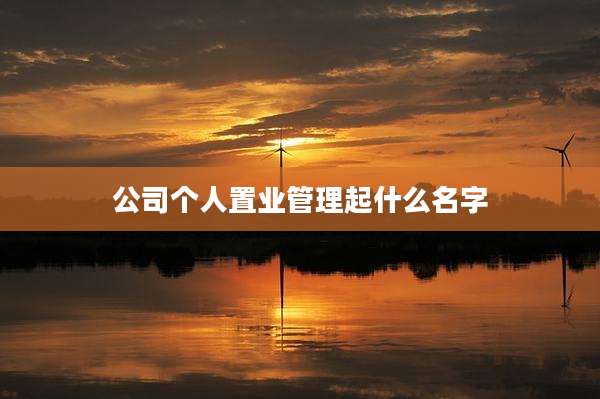 公司个人置业管理起什么名字