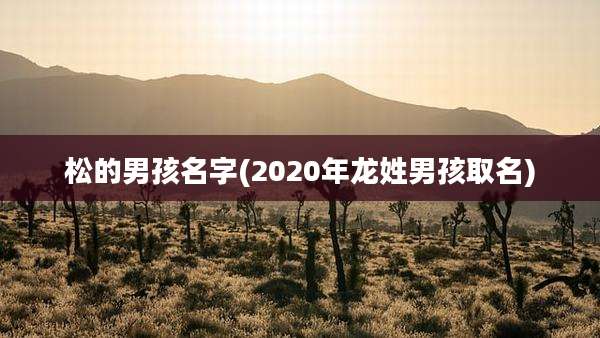 松的男孩名字(2020年龙姓男孩取名)