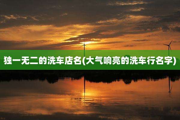 独一无二的洗车店名(大气响亮的洗车行名字)