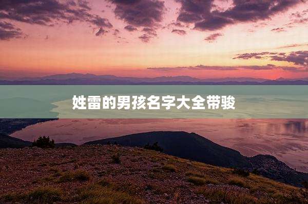 姓雷的男孩名字大全带骏