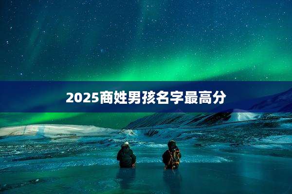 2025商姓男孩名字最高分