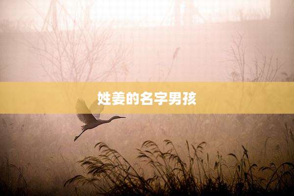 姓姜的名字男孩