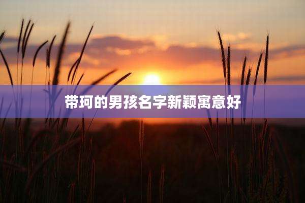 带珂的男孩名字新颖寓意好