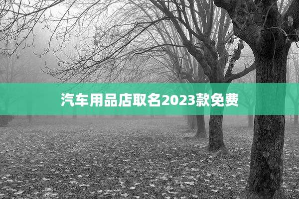 汽车用品店取名2023款免费