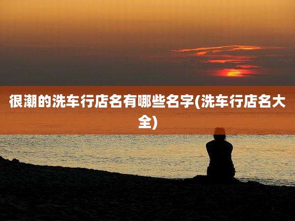 很潮的洗车行店名有哪些名字(洗车行店名大全)