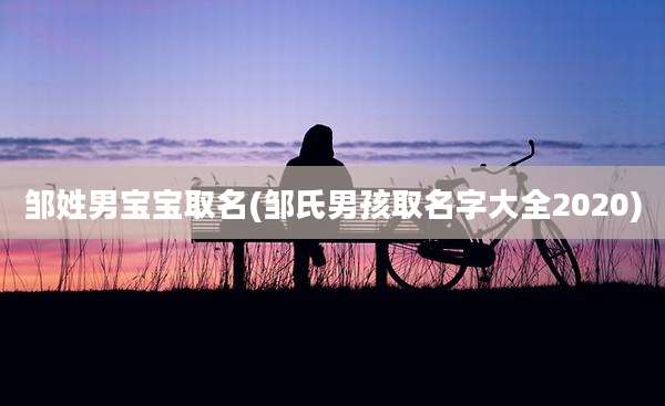 邹姓男宝宝取名(邹氏男孩取名字大全2020)