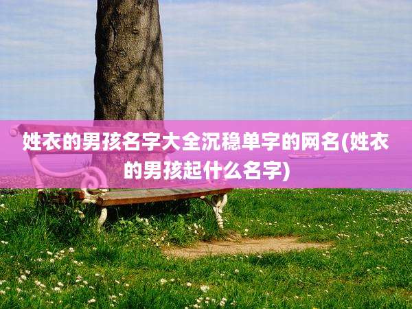 姓衣的男孩名字大全沉稳单字的网名(姓衣的男孩起什么名字)