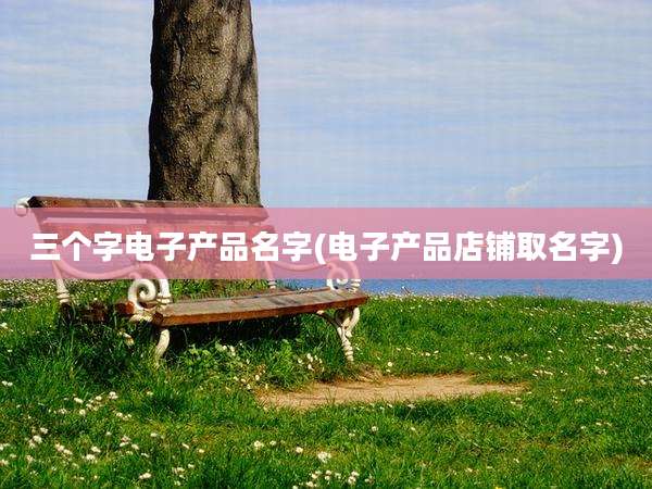 三个字电子产品名字(电子产品店铺取名字)