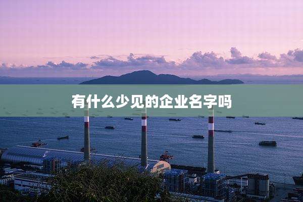 有什么少见的企业名字吗