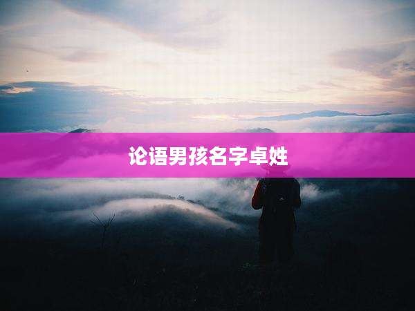 论语男孩名字卓姓