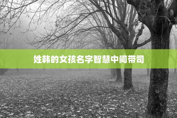 姓韩的女孩名字智慧中间带司