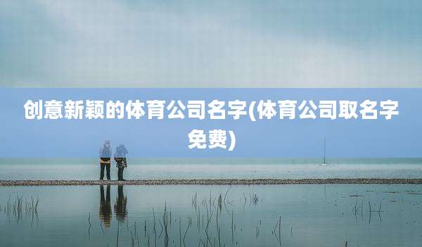 创意新颖的体育公司名字(体育公司取名字免费)