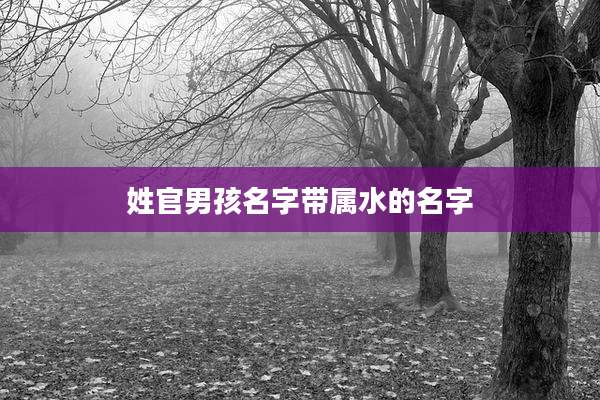 姓官男孩名字带属水的名字