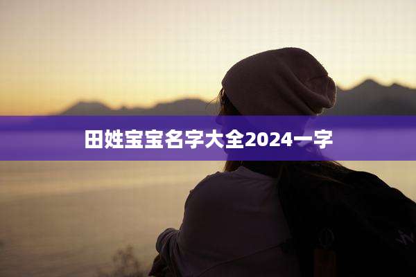 田姓宝宝名字大全2024一字