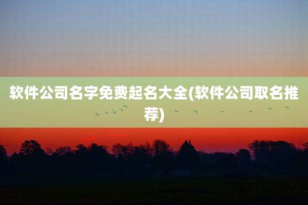 软件公司名字免费起名大全(软件公司取名推荐)