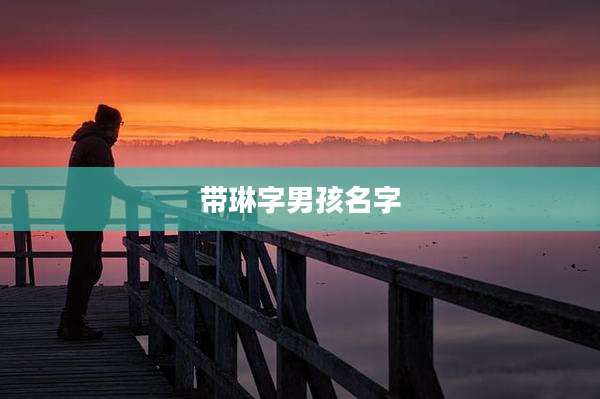 带琳字男孩名字