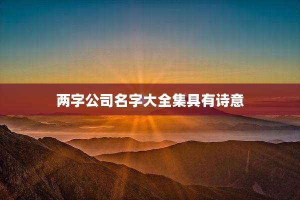 两字公司名字大全集具有诗意