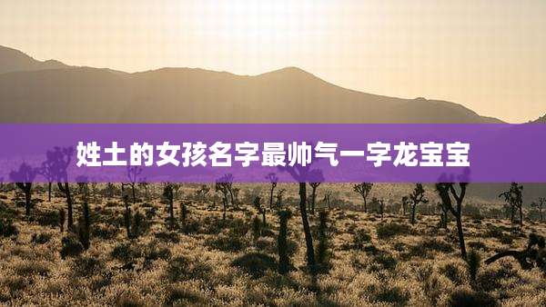 姓土的女孩名字最帅气一字龙宝宝