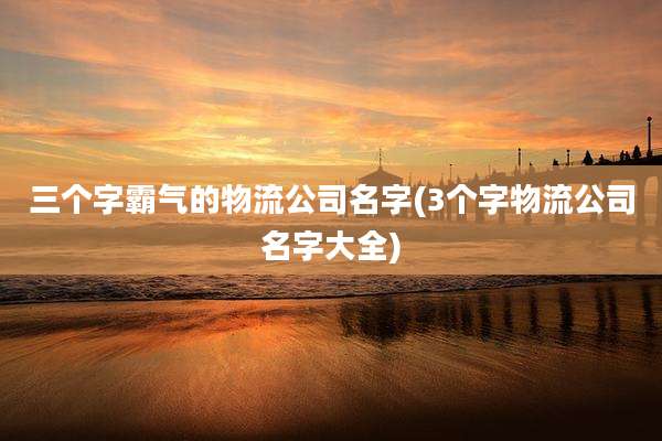 三个字霸气的物流公司名字(3个字物流公司名字大全)