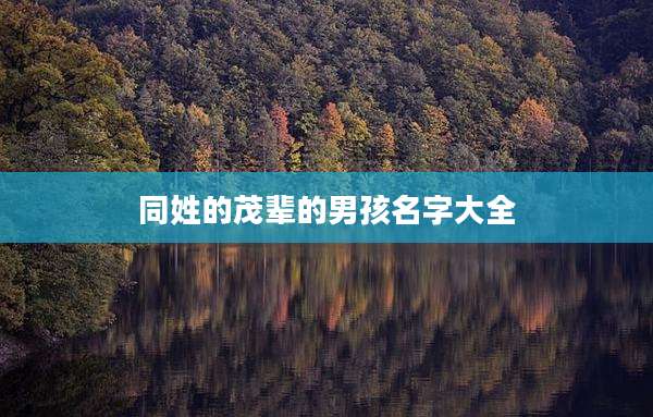 同姓的茂辈的男孩名字大全