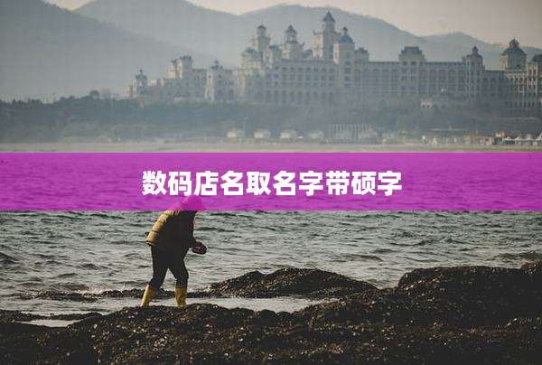 数码店名取名字带硕字