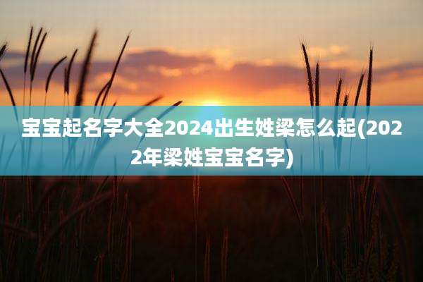 宝宝起名字大全2024出生姓梁怎么起(2022年梁姓宝宝名字)