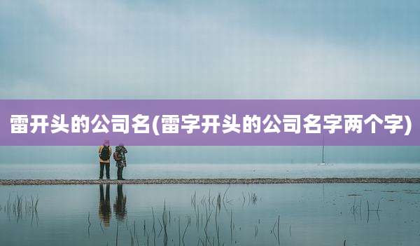 雷开头的公司名(雷字开头的公司名字两个字)