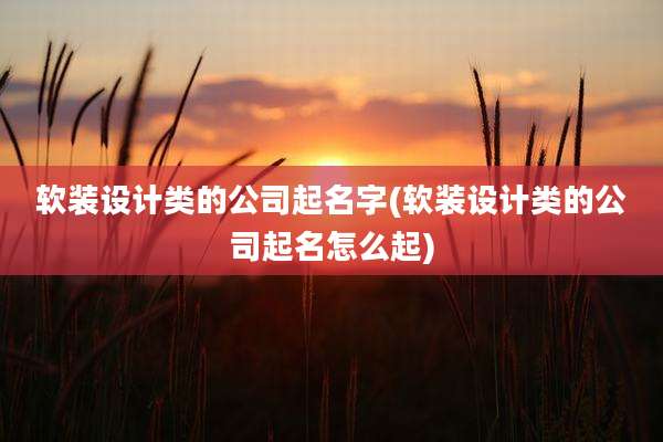 软装设计类的公司起名字(软装设计类的公司起名怎么起)
