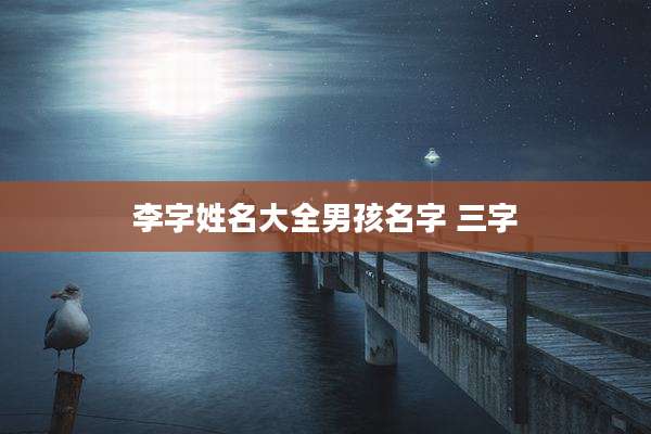 李字姓名大全男孩名字 三字