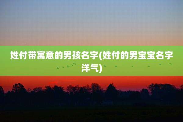 姓付带寓意的男孩名字(姓付的男宝宝名字洋气)