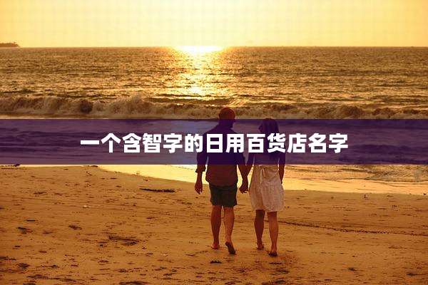 一个含智字的日用百货店名字