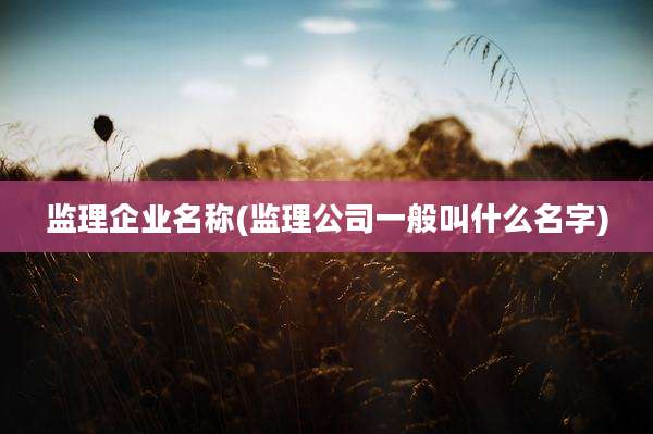 监理企业名称(监理公司一般叫什么名字)