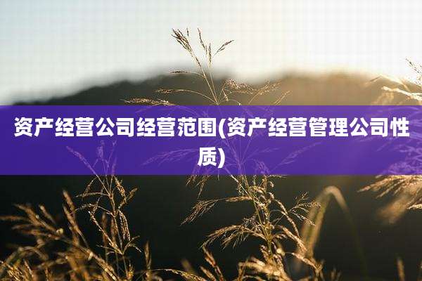 资产经营公司经营范围(资产经营管理公司性质)