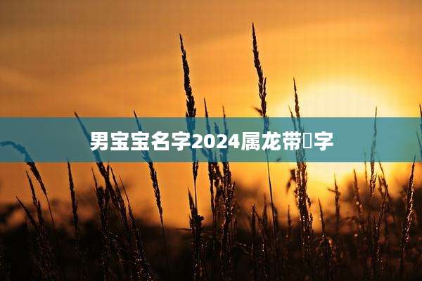男宝宝名字2024属龙带晞字