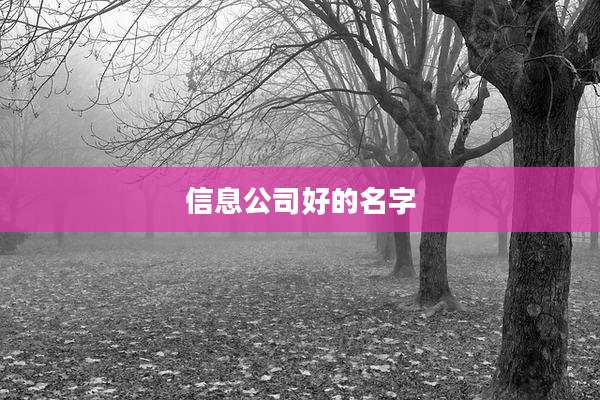 信息公司好的名字
