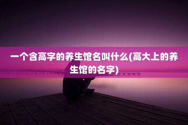 一个含高字的养生馆名叫什么(高大上的养生馆的名字)