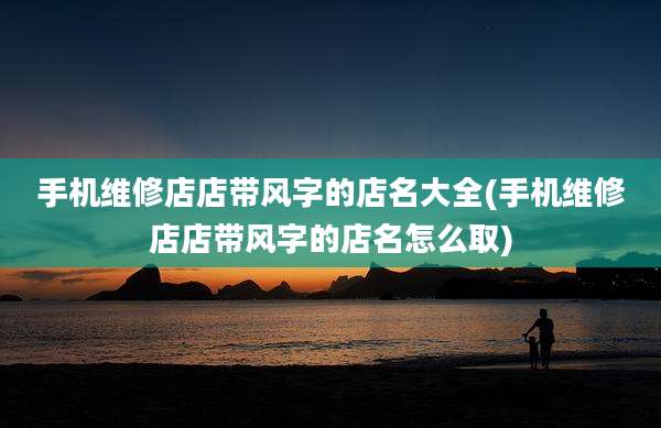 手机维修店店带风字的店名大全(手机维修店店带风字的店名怎么取)