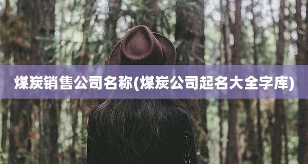 煤炭销售公司名称(煤炭公司起名大全字库)