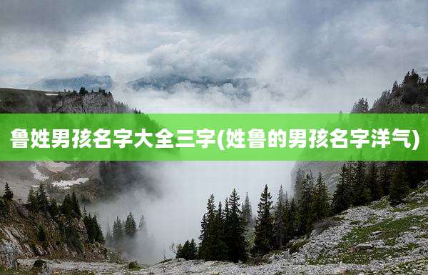 鲁姓男孩名字大全三字(姓鲁的男孩名字洋气)
