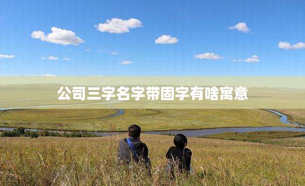 公司三字名字带固字有啥寓意