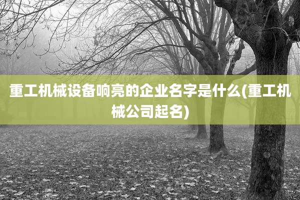 重工机械设备响亮的企业名字是什么(重工机械公司起名)