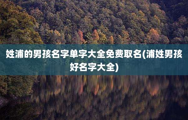 姓浦的男孩名字单字大全免费取名(浦姓男孩好名字大全)