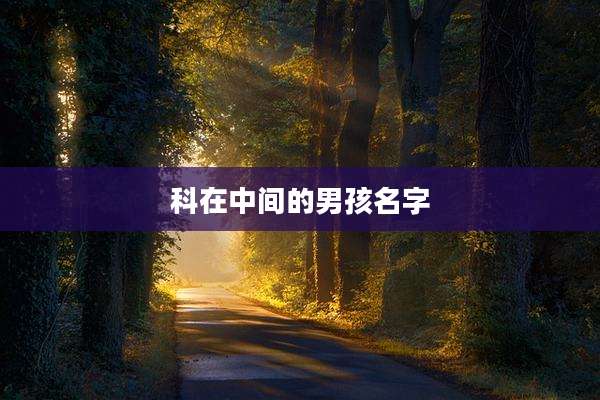 科在中间的男孩名字