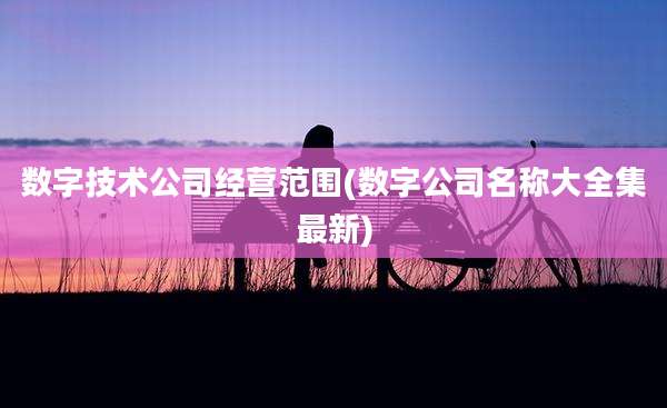数字技术公司经营范围(数字公司名称大全集最新)