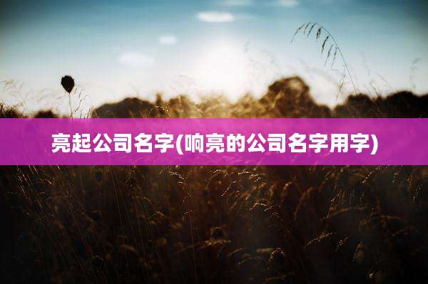亮起公司名字(响亮的公司名字用字)