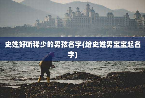 史姓好听稀少的男孩名字(给史姓男宝宝起名字)