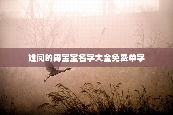 姓闵的男宝宝名字大全免费单字