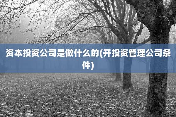 资本投资公司是做什么的(开投资管理公司条件)