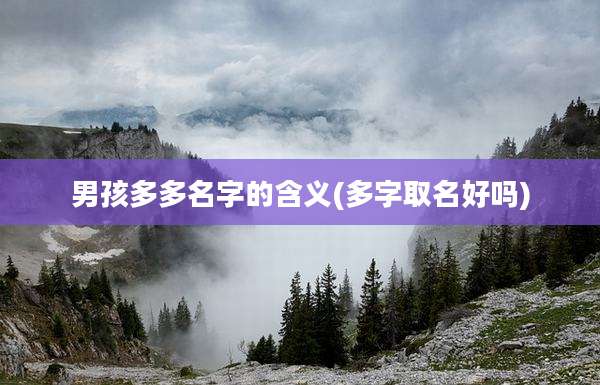 男孩多多名字的含义(多字取名好吗)