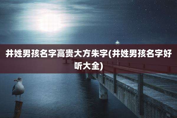 井姓男孩名字高贵大方朱字(井姓男孩名字好听大全)